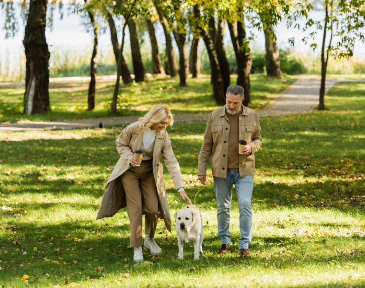 A couple and a dog walking in a park.